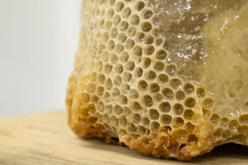 WhatsApp Image 2025-10-13 at 9.37.18 PM