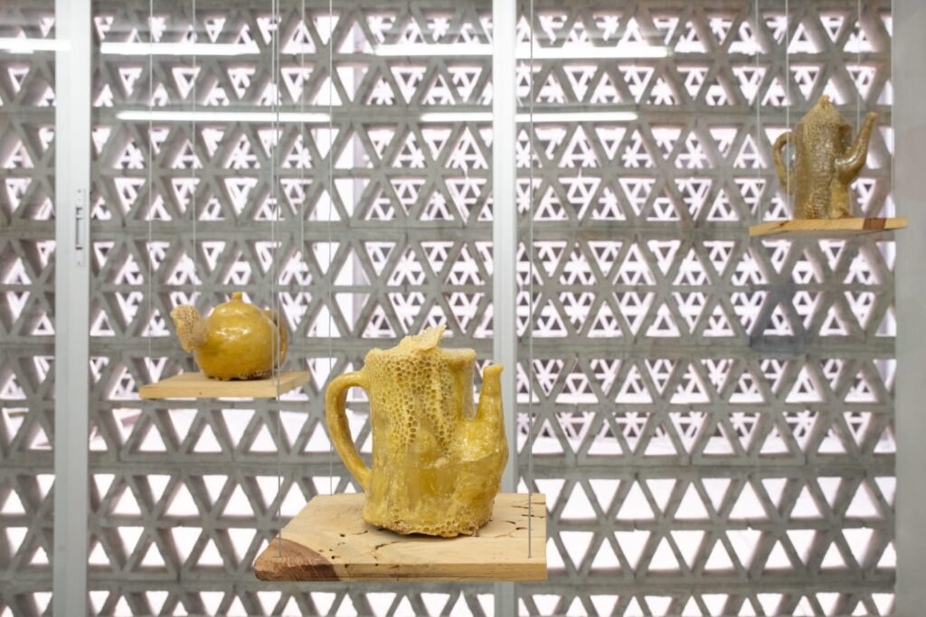 WhatsApp Image 2025-10-13 at 9.37.22 PM